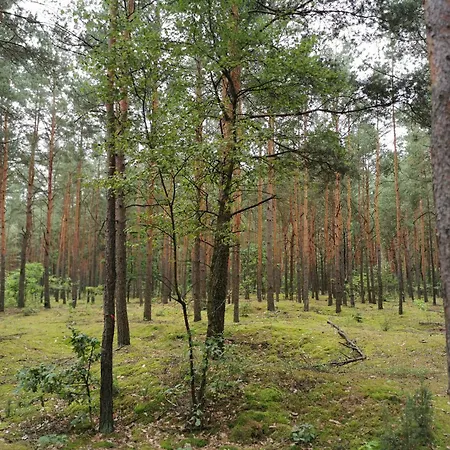 Dom W Siedlisku Pod Orzechem Сasa de vacaciones Przylek