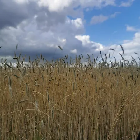 Dom W Siedlisku Pod Orzechem Przylek