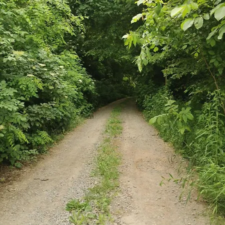 Сasa de vacaciones Dom W Siedlisku Pod Orzechem Przylek