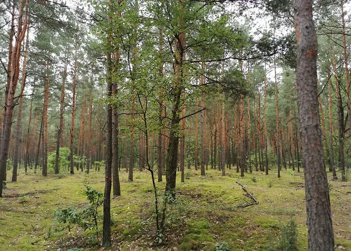 Dom W Siedlisku Pod Orzechem Prázdninový dům Przylek