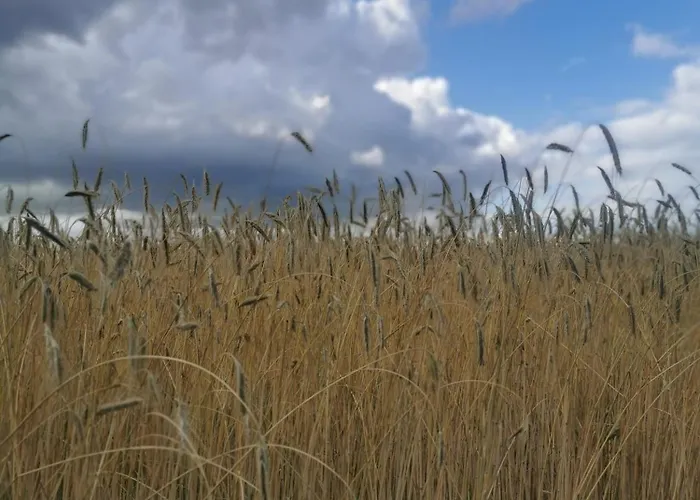 Dom W Siedlisku Pod Orzechem Przylek