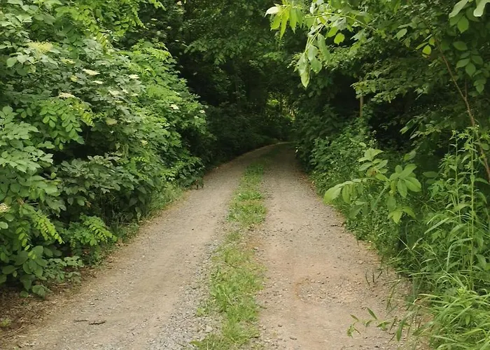 Prázdninový dům Dom W Siedlisku Pod Orzechem Przylek